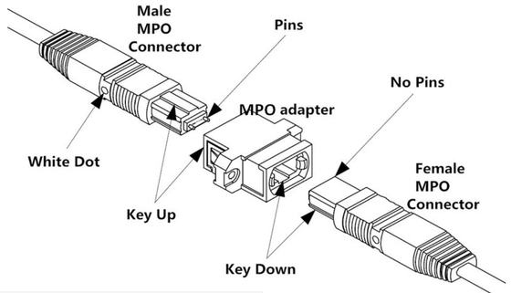 Singlemode MTP-kabel MPO 48 verbindingsdraad 32 van de vezelboomstam van de kernos2 enige wijze het koord van het metermpo flard