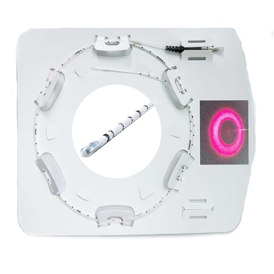 Instrumenten voor capillaire elektroforese met optische vezels