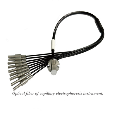 Instrumenten voor capillaire elektroforese met optische vezels