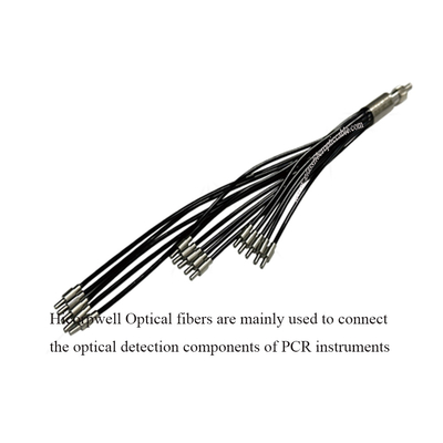 Polymerase kettingreactie (PCR) instrumenten PCR Optische vezels Verbind de optische detectiecomponenten van PCR-instrumenten
